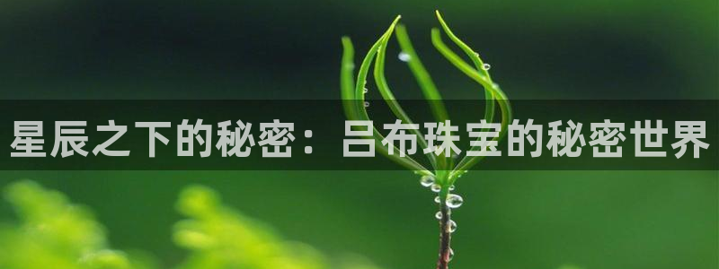 楚雄众腾娱乐在哪里