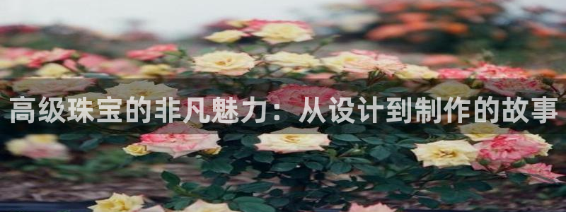 众腾娱乐招商