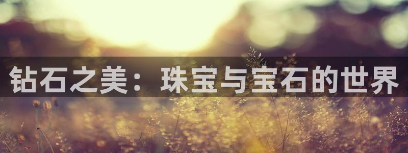 众腾娱乐公司简介