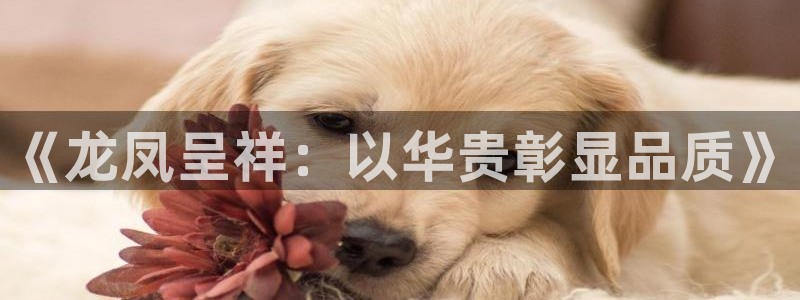 众腾娱乐平台下载