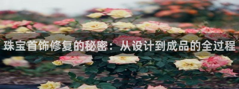 众腾娱乐平台下载