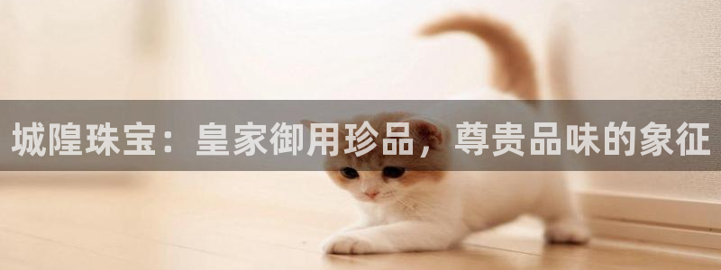包头众腾娱乐