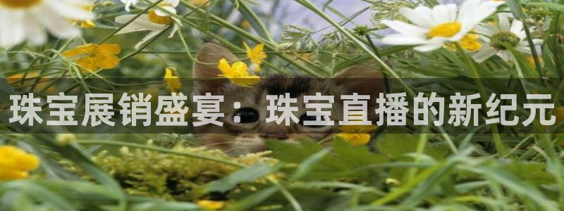 包头众腾娱乐密室逃脱
