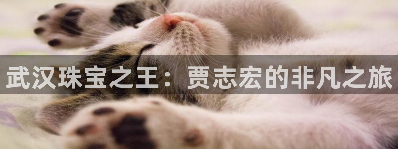 腾众娱乐是什么
