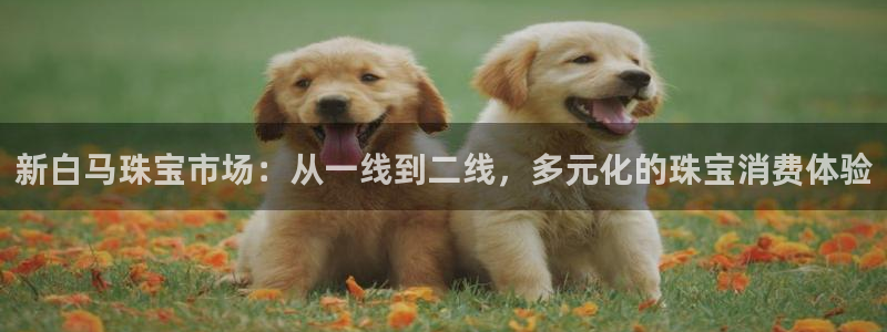 腾众竞技娱乐