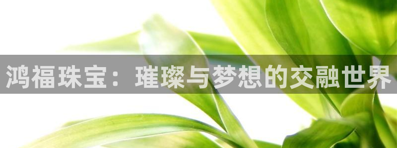 众腾娱乐官方客服电话
