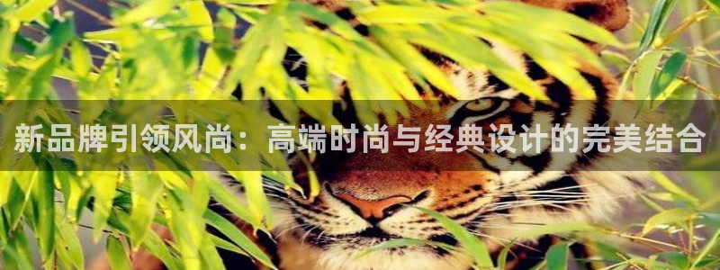 腾耀3娱乐众123