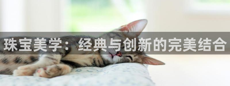 包头众腾娱乐密室逃脱