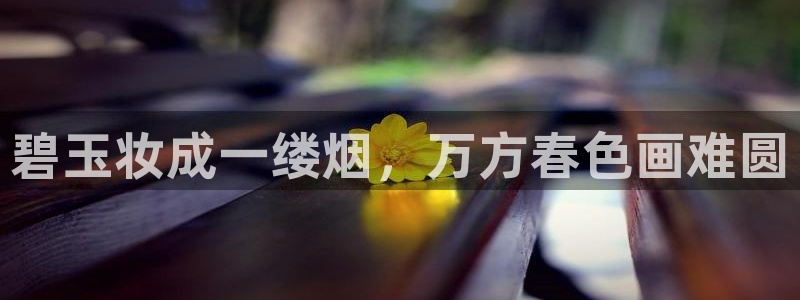 楚雄众腾娱乐在哪里