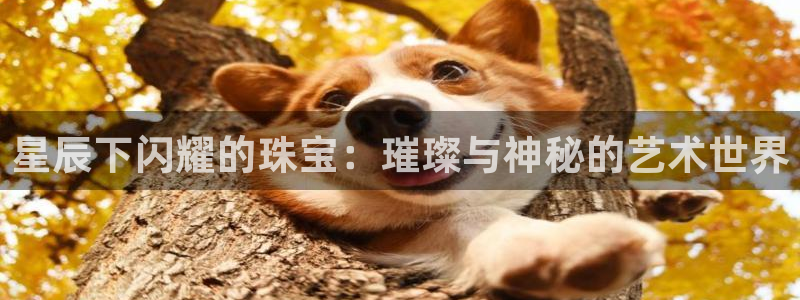 众腾娱乐集团有限公司：星辰下闪耀的珠宝：璀璨与神秘的艺术世界