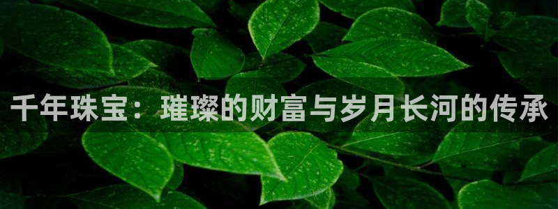 众腾娱乐开户：千年珠宝：璀璨的财富与岁月长河的传承