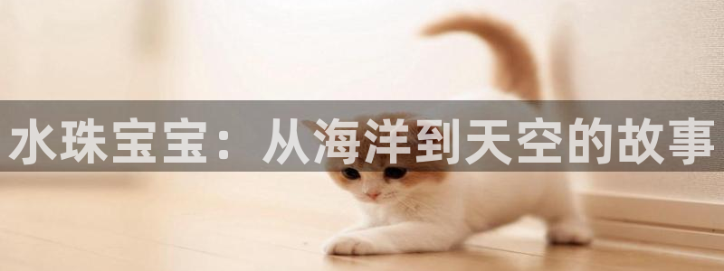 众腾娱乐代理怎么样
