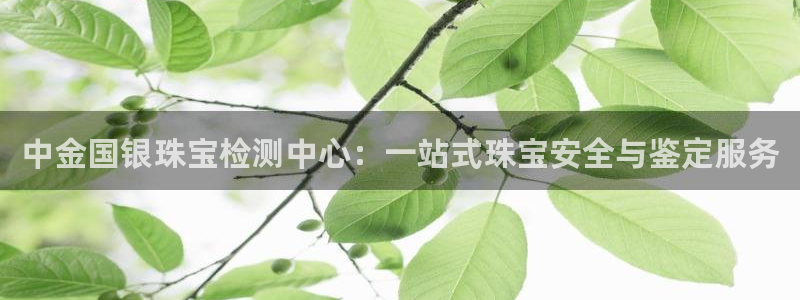 腾耀娱乐众推99840