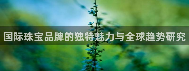包头众腾娱乐密室逃脱