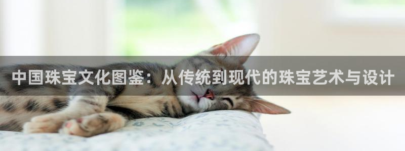 众腾娱乐APP下载