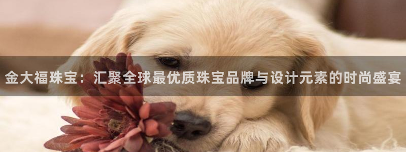 众腾娱乐APP下载