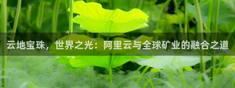 包头众腾娱乐密室逃脱