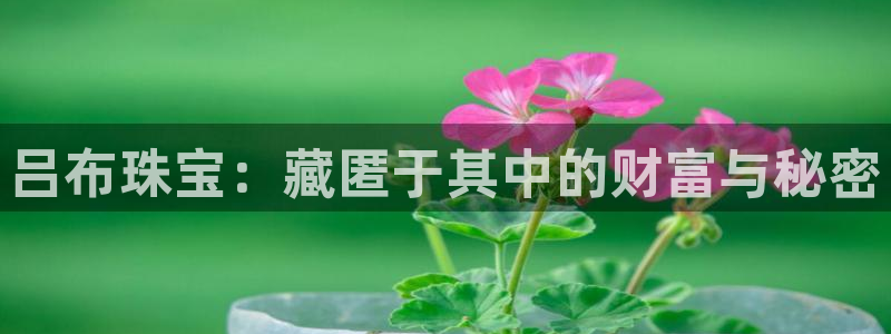 云南众腾娱乐