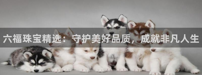云南众腾娱乐
