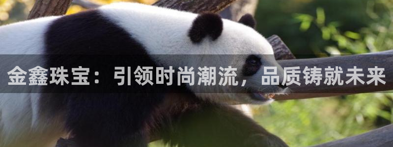 众腾娱乐APP下载
