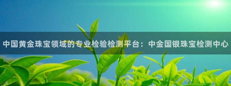 众联别墅g座上腾娱乐有限公司：中国黄金珠宝领域的专业检验检测
