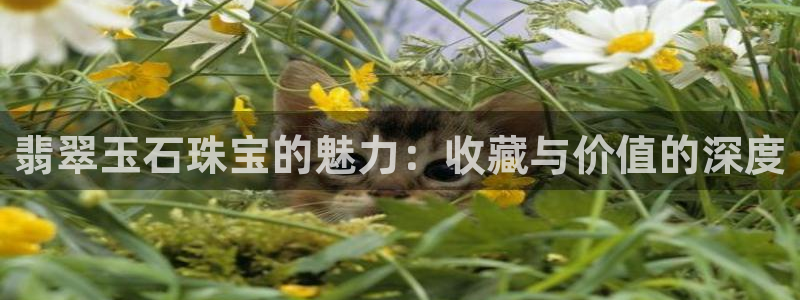 腾众娱乐的彩票靠谱吗