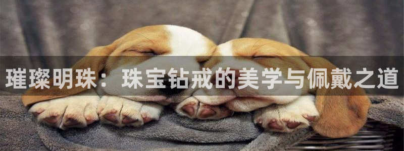 众腾娱乐