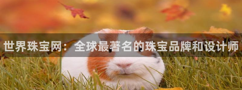 包头众腾娱乐密室逃脱