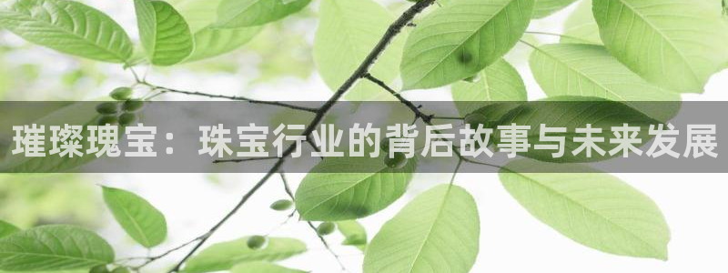 腾众娱乐是什么：璀璨瑰宝：珠宝行业的背后故事与未来发展