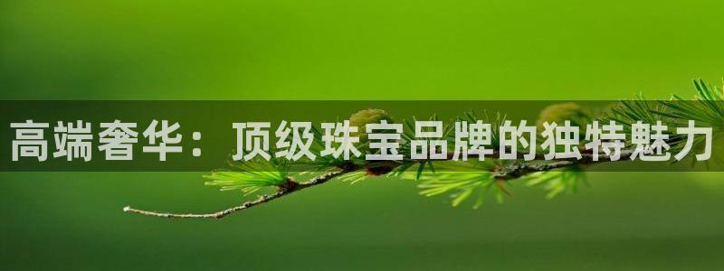 岳阳众腾ktv娱乐：高端奢华：顶级珠宝品牌的独特魅力