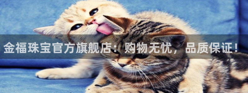 众联别墅g座上腾娱乐有限公司：金福珠宝官方旗舰店：购物无忧，