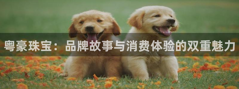 腾众娱乐是个啥