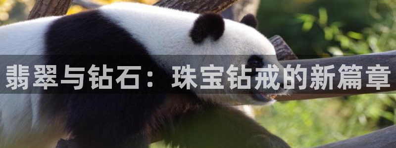 众腾娱乐平台下载