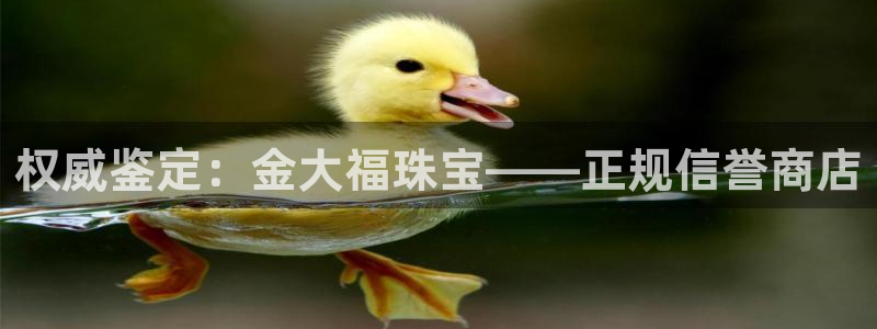 腾耀3娱乐众推8 28