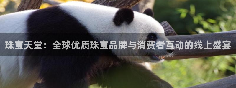 楚雄众腾娱乐是干什么的