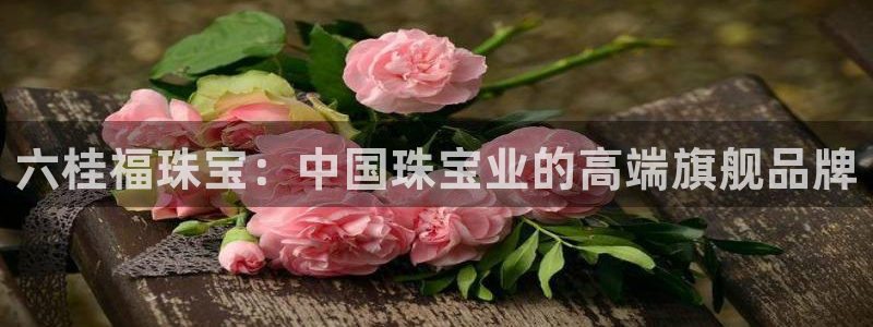 众腾娱乐公司简介