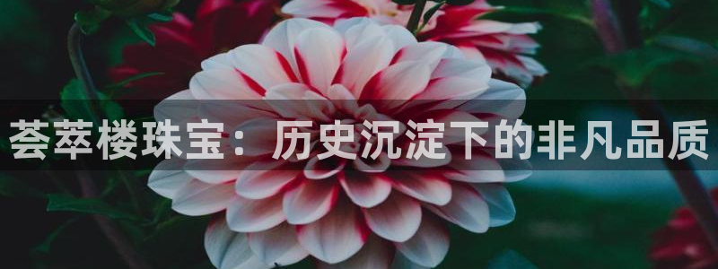 内蒙古众腾娱乐文化法人