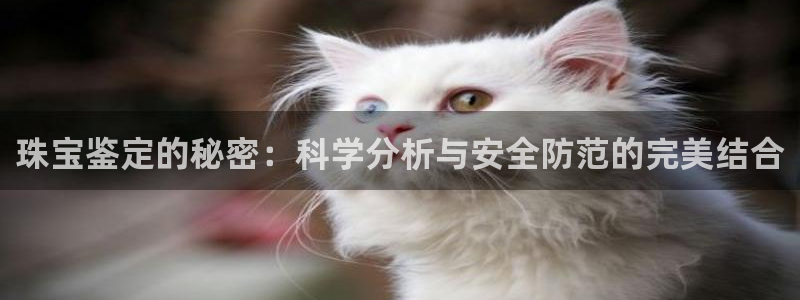 众腾娱乐平台下载