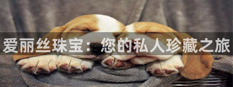 腾耀娱乐众推46996