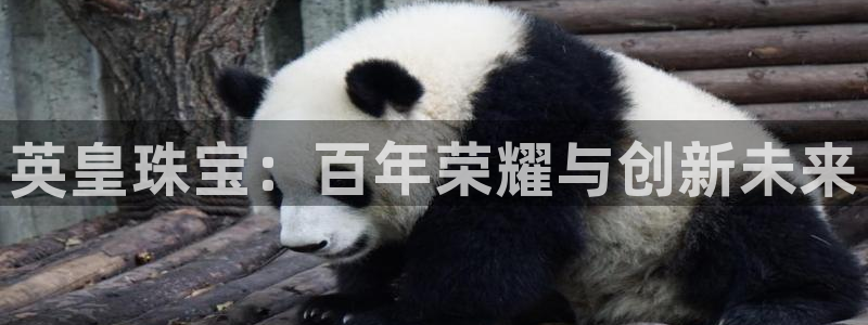 众联别墅g座上腾娱乐有限公司