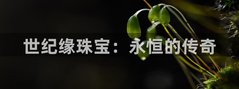 腾耀娱乐众推55312