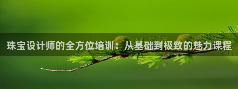 楚雄众腾娱乐：珠宝设计师的全方位培训：从基础到极致的魅力课程