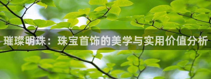 众腾娱乐梦幻演艺店：璀璨明珠：珠宝首饰的美学与实用价值分析