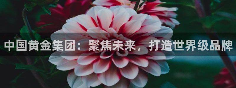 众腾娱乐APP下载：中国黄金集团：聚焦未来，打造世界级品牌