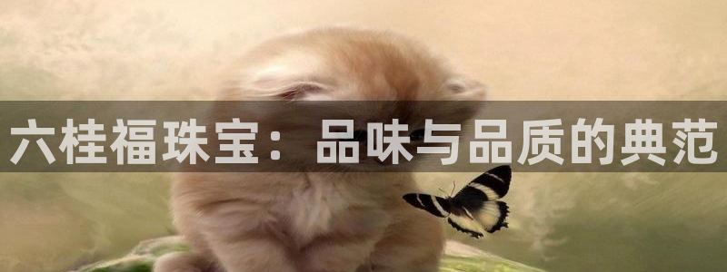 众腾娱乐发7O777：六桂福珠宝：品味与品质的典范