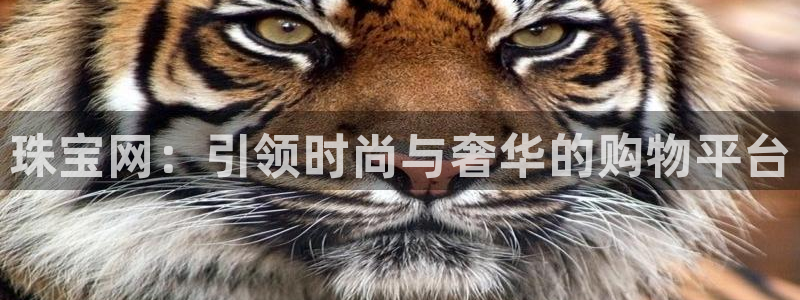 众腾娱乐app：珠宝网：引领时尚与奢华的购物平台