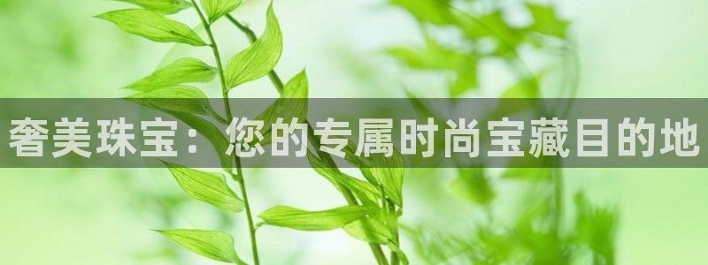 众腾娱乐注册：奢美珠宝：您的专属时尚宝藏目的地