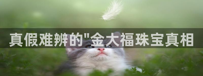 众联别墅g座上腾娱乐有限公司