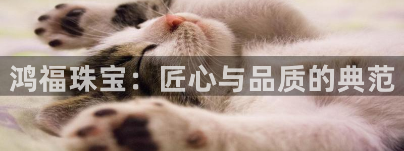 腾众娱乐的彩票靠谱吗：鸿福珠宝：匠心与品质的典范
