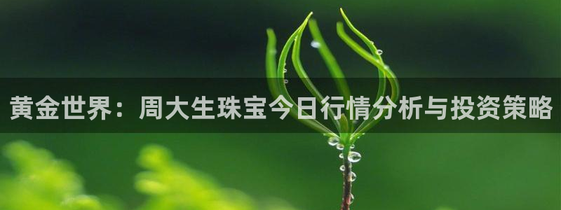 包头众腾娱乐密室逃脱：黄金世界：周大生珠宝今日行情分析与投资
